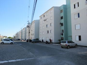 Apartamento com dois dormitórios no Condomínio Life Club Fragata em Pelotas