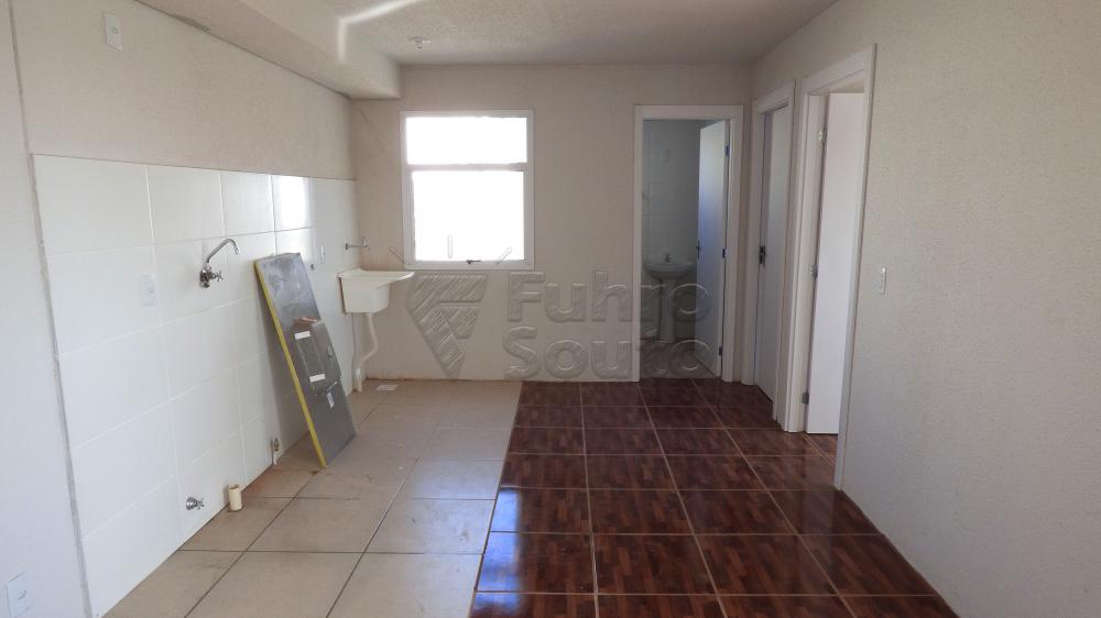 Alugar Apartamento / Padrão em Pelotas R$ 450,00 - Foto 2