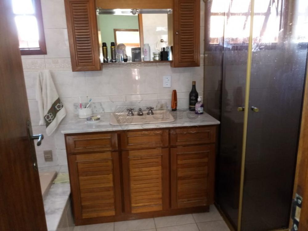 Alugar Casa / Padrão em Pelotas R$ 5.500,00 - Foto 29
