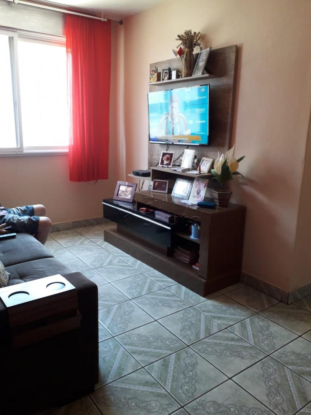 Comprar Apartamento / Padrão em Pelotas R$ 254.400,00 - Foto 2 Comprar Apartamento / Padrão em Pelotas R$ 254.400,00 - Foto 2