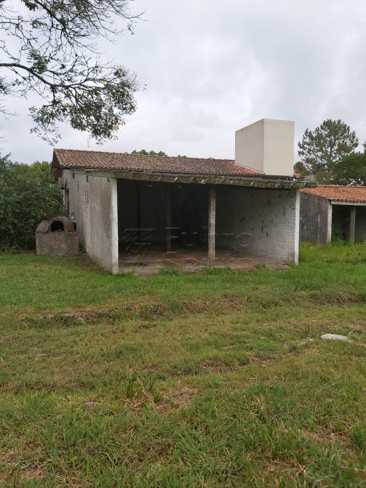 Comprar Casa / Padrão em Pelotas R$ 3.500.000,00 - Foto 12 Comprar Casa / Padrão em Pelotas R$ 3.500.000,00 - Foto 12