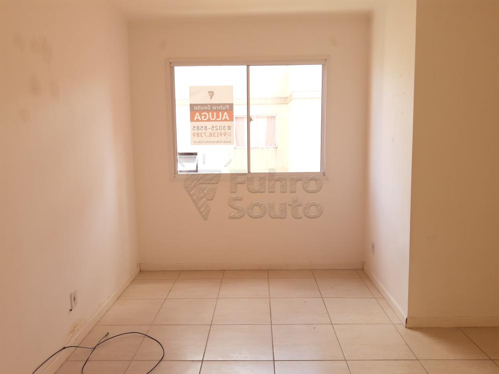 Alugar Apartamento / Padrão em Pelotas R$ 550,00 - Foto 1 Alugar Apartamento / Padrão em Pelotas R$ 550,00 - Foto 1