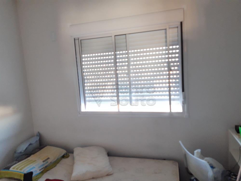 Alugar Apartamento / Padrão em Pelotas R$ 900,00 - Foto 8 Alugar Apartamento / Padrão em Pelotas R$ 900,00 - Foto 8