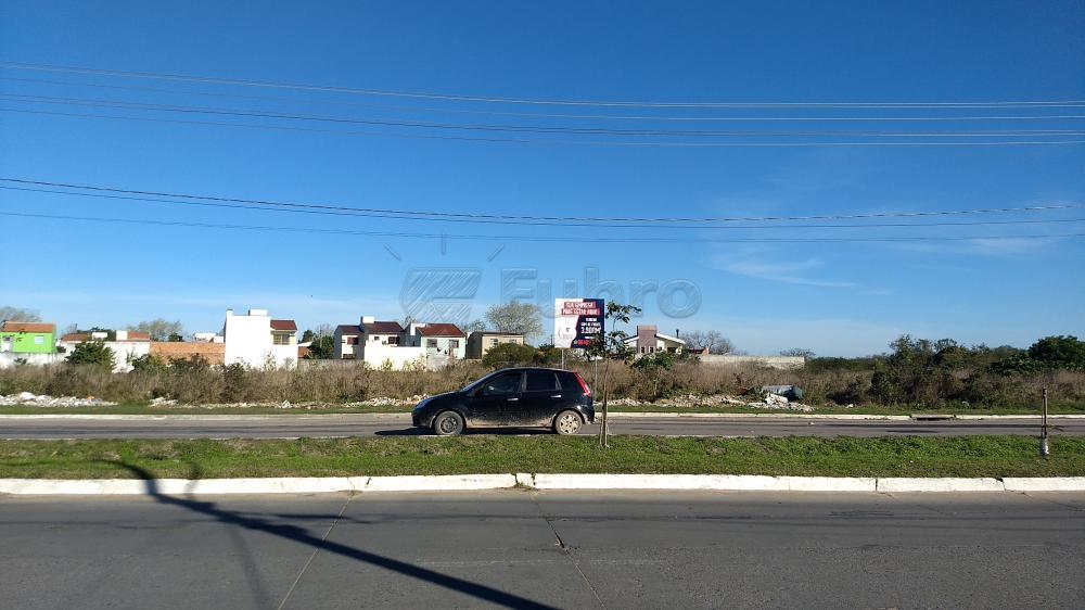 Comprar Terreno / Padrão em Pelotas R$ 5.800.000,00 - Foto 1 Comprar Terreno / Padrão em Pelotas R$ 5.800.000,00 - Foto 1