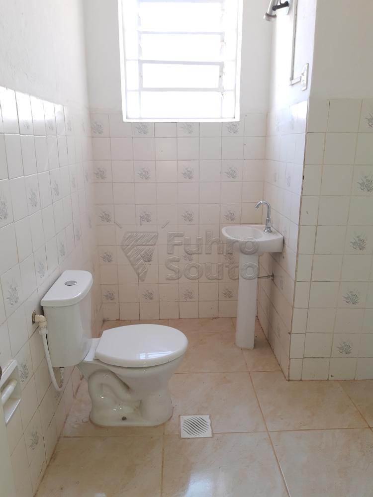 Alugar Apartamento / Fora de Condomínio em Pelotas R$ 980,00 - Foto 19 Alugar Apartamento / Fora de Condomínio em Pelotas R$ 980,00 - Foto 19