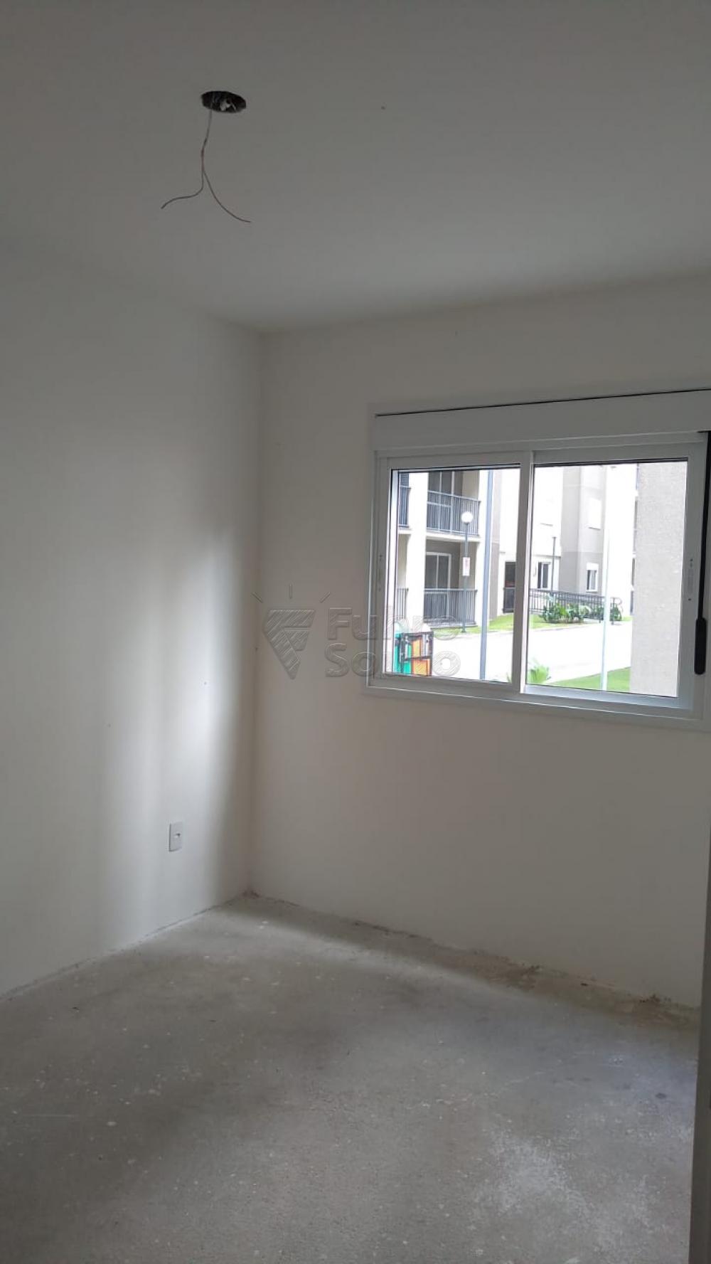 Comprar Apartamento / Padrão em Pelotas R$ 270.000,00 - Foto 15 Comprar Apartamento / Padrão em Pelotas R$ 270.000,00 - Foto 15