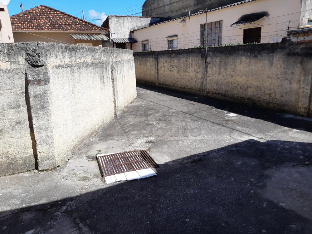 Alugar Casa / Padrão em Pelotas R$ 750,00 - Foto 3 Alugar Casa / Padrão em Pelotas R$ 750,00 - Foto 3