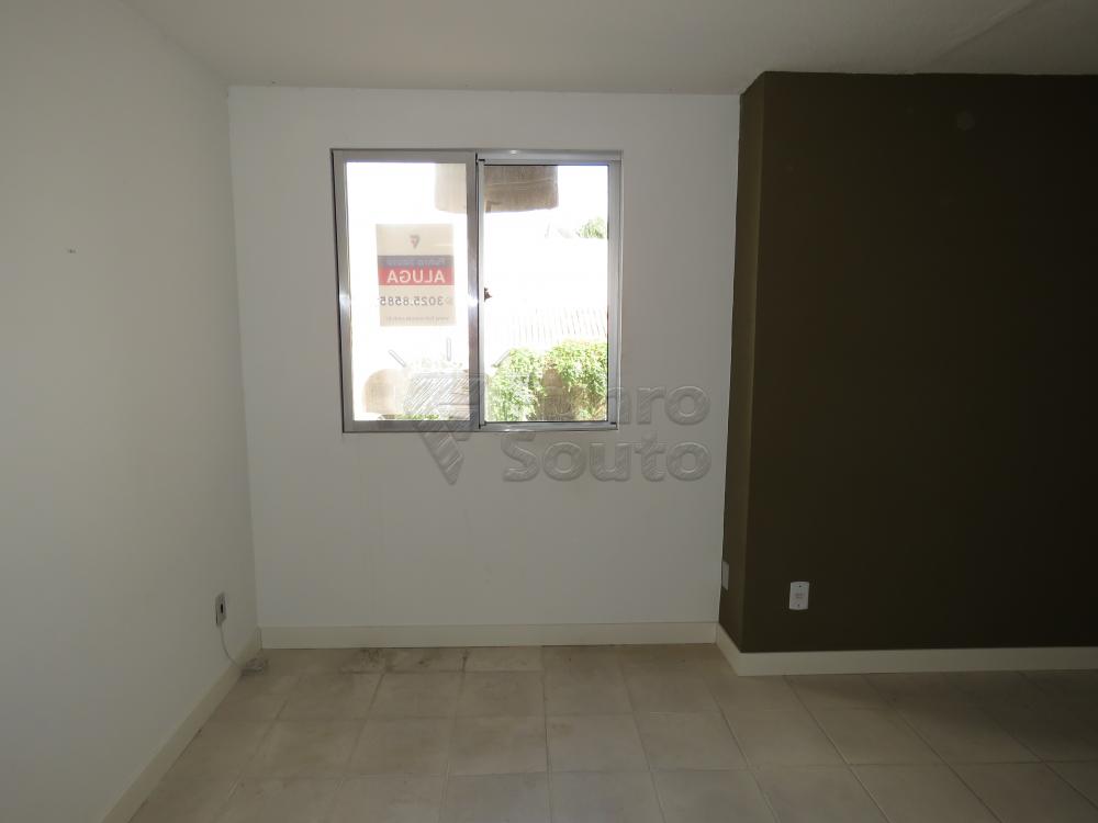 Alugar Apartamento / Padrão em Pelotas R$ 750,00 - Foto 1