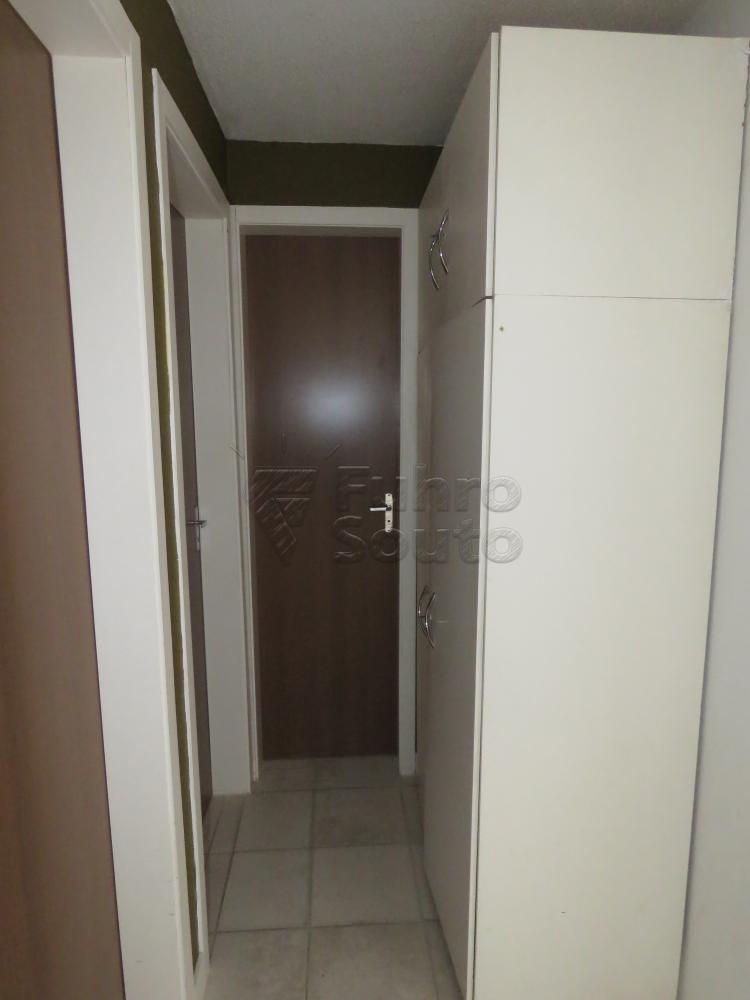 Alugar Apartamento / Padrão em Pelotas R$ 750,00 - Foto 6