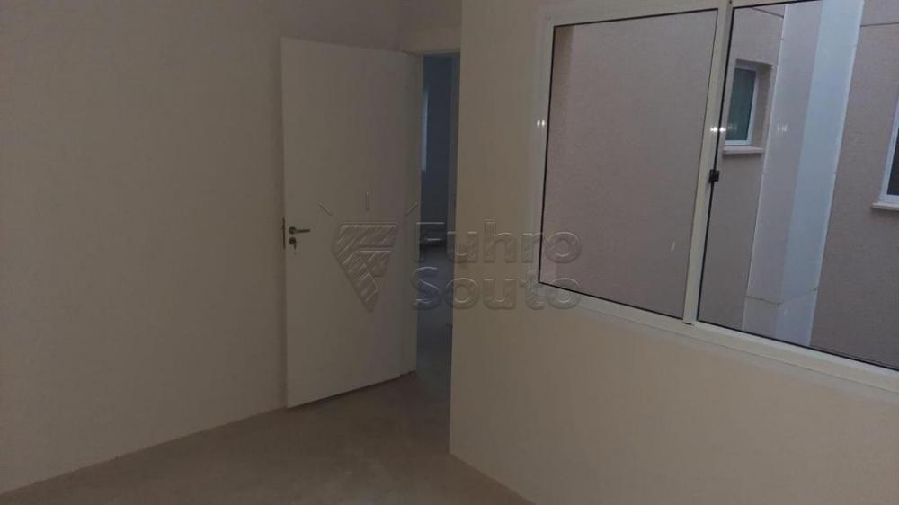 Comprar Apartamento / Padrão em Pelotas R$ 166.000,00 - Foto 6