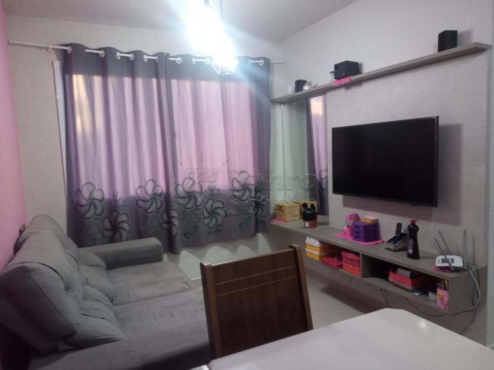 Comprar Apartamento / Padrão em Pelotas R$ 140.000,00 - Foto 17