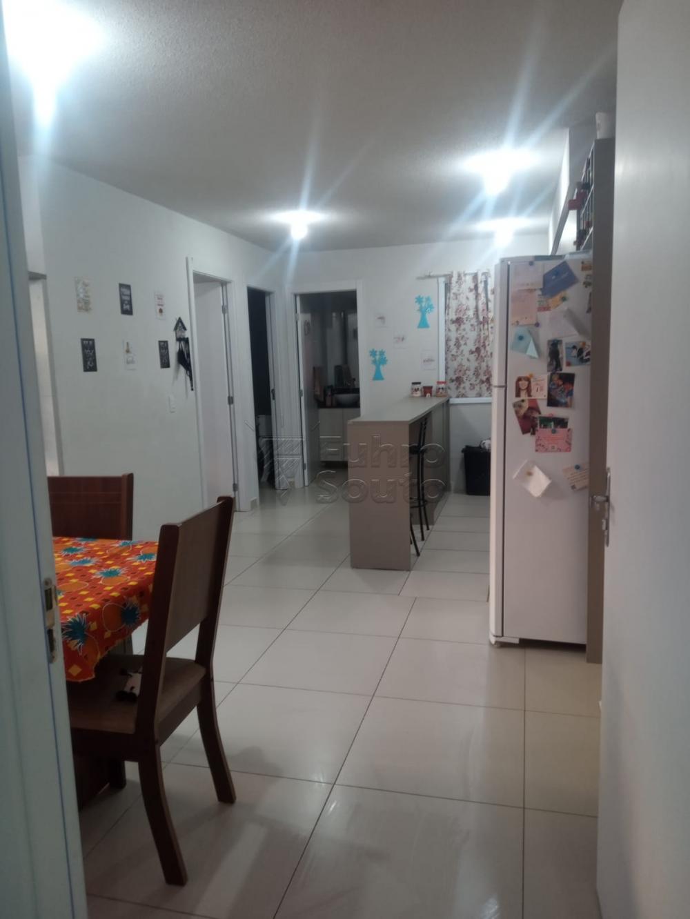 Comprar Apartamento / Padrão em Pelotas R$ 140.000,00 - Foto 22