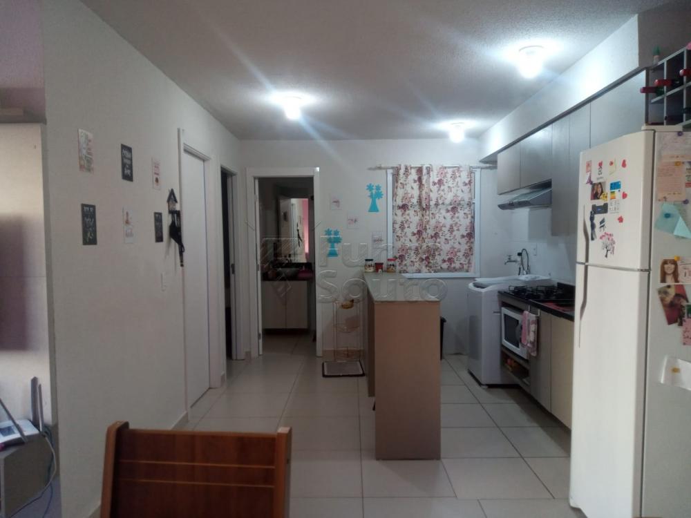 Comprar Apartamento / Padrão em Pelotas R$ 140.000,00 - Foto 34