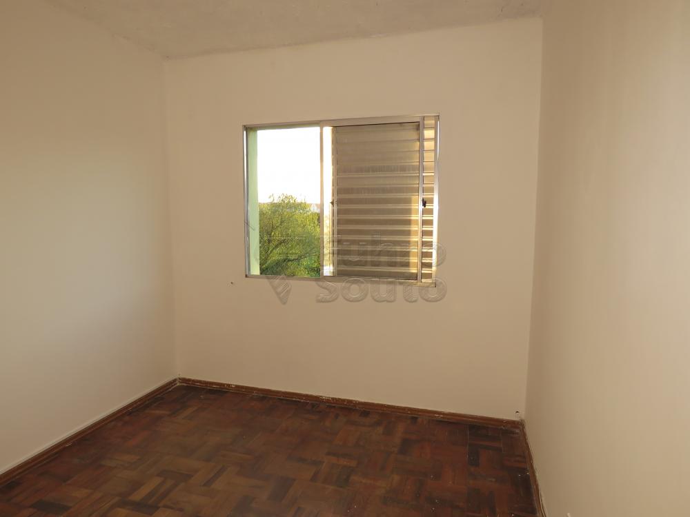 Alugar Apartamento / Padrão em Pelotas R$ 700,00 - Foto 9