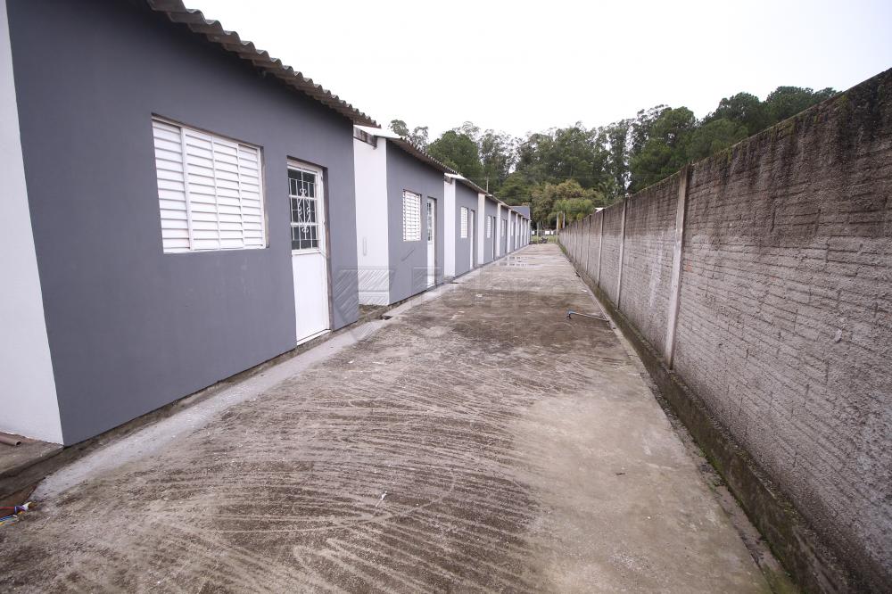 Alugar Apartamento / Fora de Condomínio em Capão do Leão R$ 600,00 - Foto 2