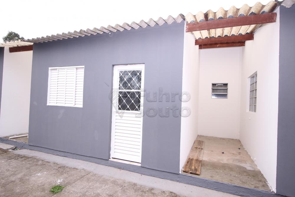 Alugar Apartamento / Fora de Condomínio em Capão do Leão R$ 600,00 - Foto 6