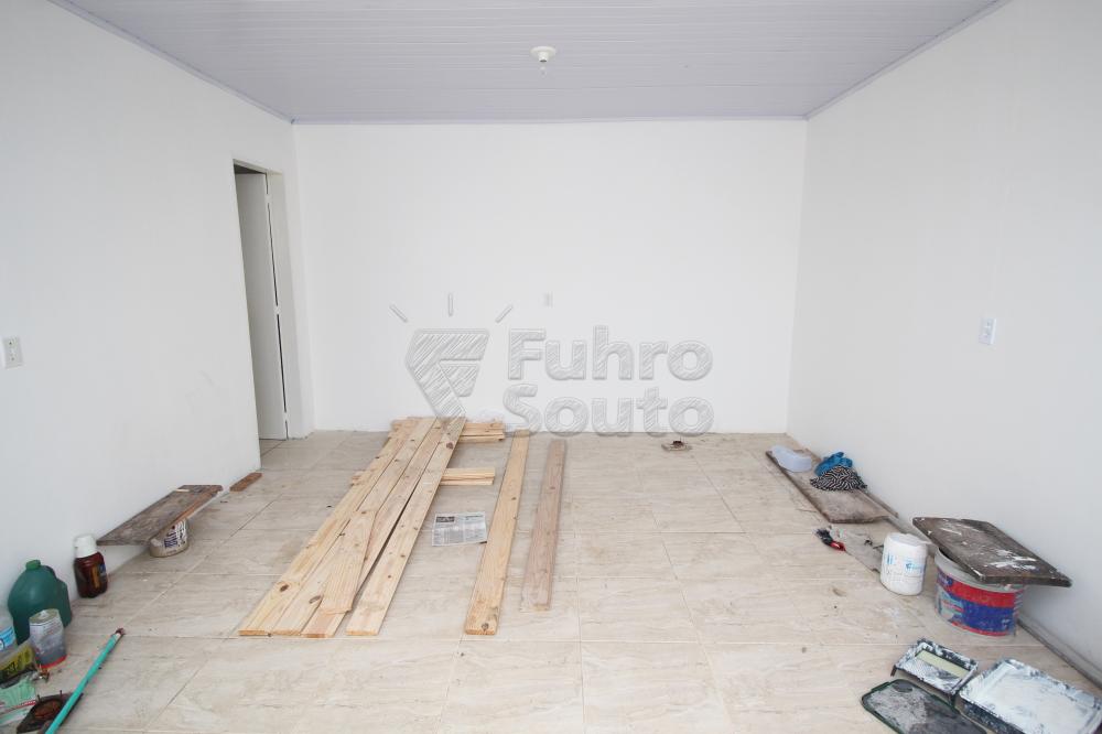 Alugar Apartamento / Fora de Condomínio em Capão do Leão R$ 600,00 - Foto 1