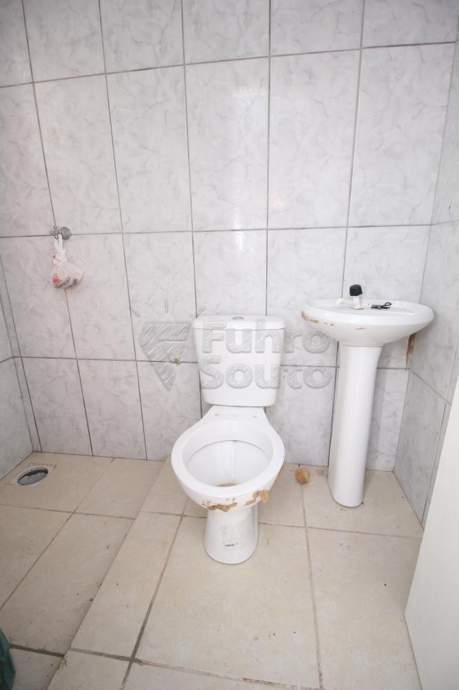 Alugar Apartamento / Fora de Condomínio em Capão do Leão R$ 600,00 - Foto 4