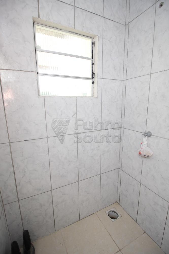 Alugar Apartamento / Fora de Condomínio em Capão do Leão R$ 600,00 - Foto 5