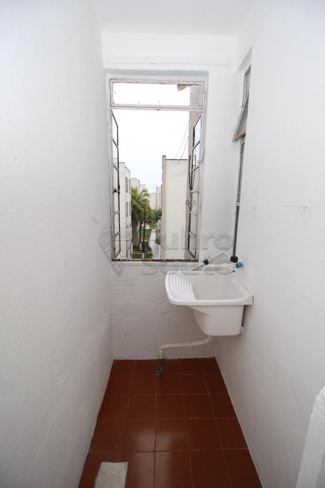 AREA DE SERVIÇO Alugar Apartamento / Padrão em Pelotas R$ 850,00 - Foto 24