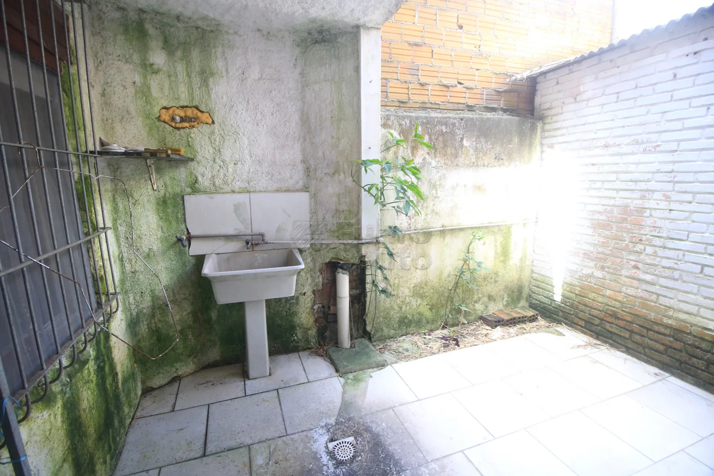 Alugar Apartamento / Fora de Condomínio em Pelotas R$ 850,00 - Foto 20
