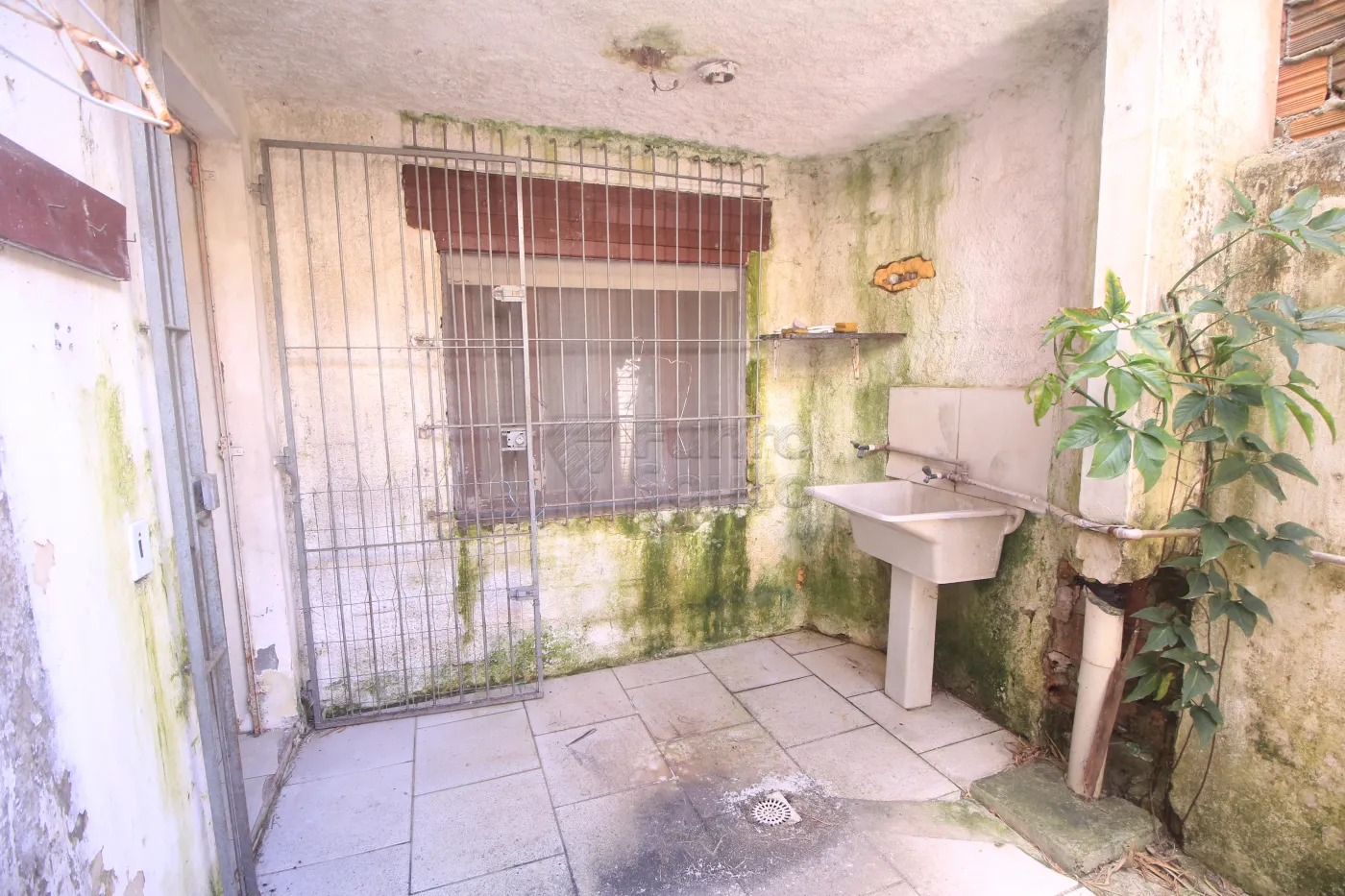 Alugar Apartamento / Fora de Condomínio em Pelotas R$ 850,00 - Foto 22