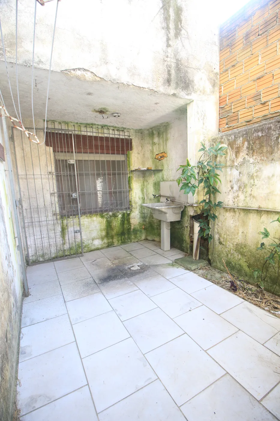 Alugar Apartamento / Fora de Condomínio em Pelotas R$ 850,00 - Foto 24