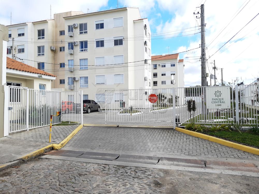 Alugar Apartamento / Padrão em Pelotas R$ 1.250,00 - Foto 1