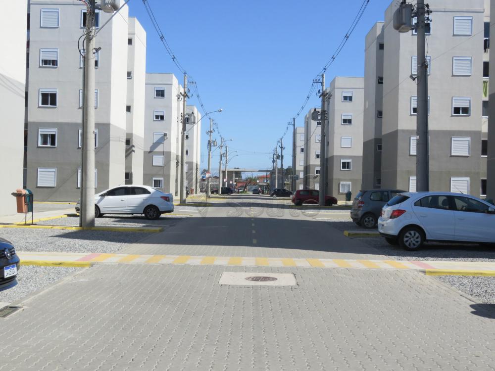 Alugar Apartamento / Padrão em Pelotas R$ 700,00 - Foto 5