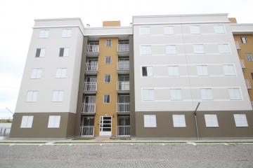 Apartamento com 2 dormitórios no Areal no condomínio Recanto da Figueira.