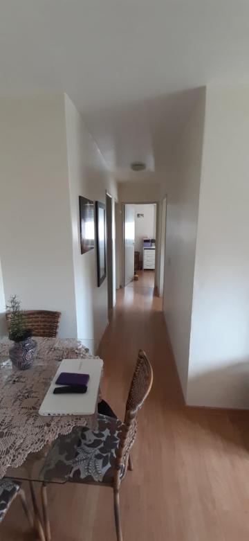 imagem 1 - Apartamento - Padrão imagem 1 - Apartamento - Padrão