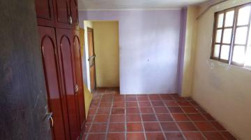 Alugar Casa / Padrão em Pelotas R$ 3.000,00 - Foto 8 Alugar Casa / Padrão em Pelotas R$ 3.000,00 - Foto 8