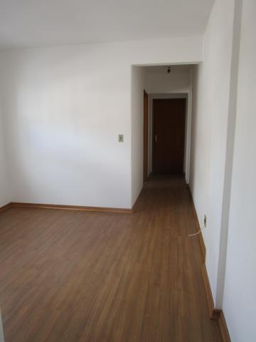imagem 1 - Apartamento Aconchegante no Coração de Pelotas imagem 1 - Apartamento Aconchegante no Coração de Pelotas