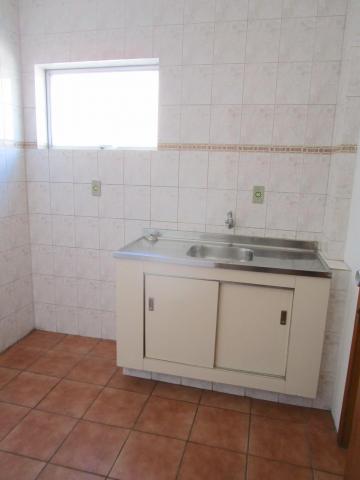 imagem 3 - Apartamento Aconchegante no Coração de Pelotas imagem 3 - Apartamento Aconchegante no Coração de Pelotas