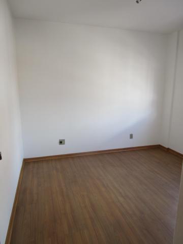imagem 5 - Apartamento Aconchegante no Coração de Pelotas imagem 5 - Apartamento Aconchegante no Coração de Pelotas