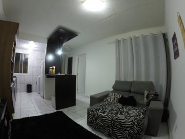 Alugar Apartamento / Padrão em Pelotas. apenas R$ 1.111,11