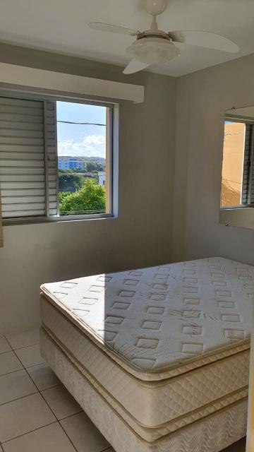 imagem 4 - Apartamento - Padrão imagem 4 - Apartamento - Padrão