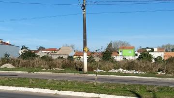 Comprar Terreno / Padrão em Pelotas R$ 5.800.000,00 - Foto 4 Comprar Terreno / Padrão em Pelotas R$ 5.800.000,00 - Foto 4