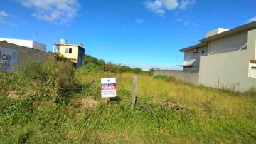 Alugar Terreno / Padrão em Pelotas. apenas R$ 850.000,00