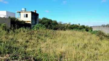 Comprar Terreno / Padrão em Pelotas R$ 795.000,00 - Foto 3 Comprar Terreno / Padrão em Pelotas R$ 795.000,00 - Foto 3