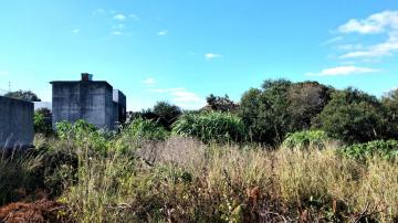 Comprar Terreno / Padrão em Pelotas R$ 795.000,00 - Foto 4 Comprar Terreno / Padrão em Pelotas R$ 795.000,00 - Foto 4