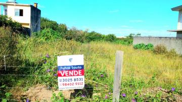 Comprar Terreno / Padrão em Pelotas R$ 795.000,00 - Foto 6 Comprar Terreno / Padrão em Pelotas R$ 795.000,00 - Foto 6