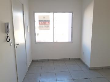 Alugar Apartamento / Padrão em Pelotas. apenas R$ 550,00