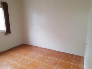 Alugar Casa / Padrão em Pelotas R$ 1.250,00 - Foto 9 Alugar Casa / Padrão em Pelotas R$ 1.250,00 - Foto 9