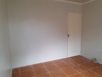 Alugar Casa / Padrão em Pelotas R$ 1.250,00 - Foto 11 Alugar Casa / Padrão em Pelotas R$ 1.250,00 - Foto 11