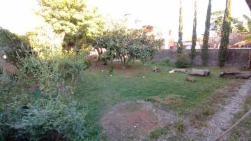 Comprar Casa / Padrão em Pelotas R$ 450.000,00 - Foto 11 Comprar Casa / Padrão em Pelotas R$ 450.000,00 - Foto 11