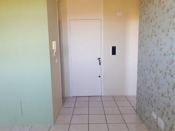 Alugar Apartamento / Padrão em Pelotas R$ 900,00 - Foto 2 Alugar Apartamento / Padrão em Pelotas R$ 900,00 - Foto 2