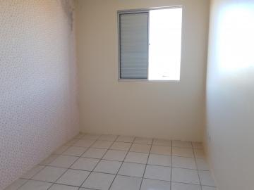 Alugar Apartamento / Padrão em Pelotas R$ 900,00 - Foto 4 Alugar Apartamento / Padrão em Pelotas R$ 900,00 - Foto 4
