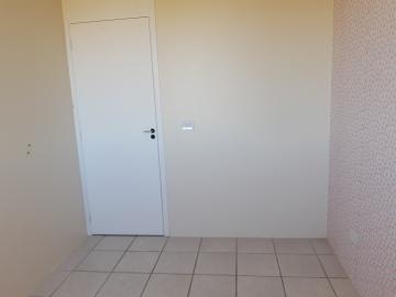 Alugar Apartamento / Padrão em Pelotas R$ 900,00 - Foto 5 Alugar Apartamento / Padrão em Pelotas R$ 900,00 - Foto 5
