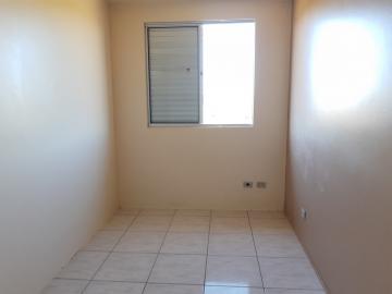 Alugar Apartamento / Padrão em Pelotas R$ 900,00 - Foto 8 Alugar Apartamento / Padrão em Pelotas R$ 900,00 - Foto 8
